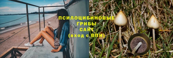 марки lsd Аркадак