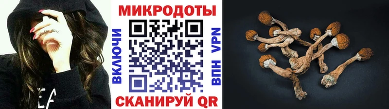 Псилоцибиновые грибы мицелий Ступино